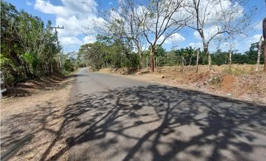 Se vende finca de 8 Has en Chorrera Zanguengas JS