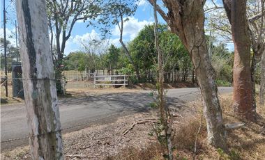 Se vende finca de 8 Has en Chorrera Zanguengas JS