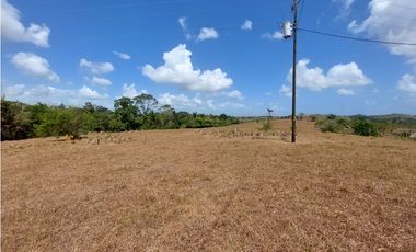 Se vende finca de 8 Has en Chorrera Zanguengas JS