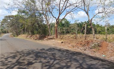 Se vende finca de 8 Has en Chorrera Zanguengas JS