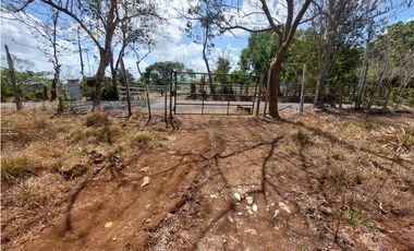 Se vende finca de 8 Has en Chorrera Zanguengas JS