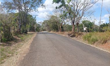 Se vende finca de 8 Has en Chorrera Zanguengas JS