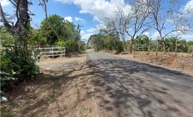 Se vende finca de 8 Has en Chorrera Zanguengas JS