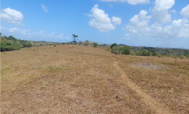Se vende finca de 8 Has en Chorrera Zanguengas JS