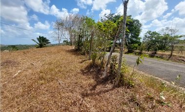 Se vende finca de 8 Has en Chorrera Zanguengas JS