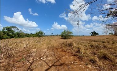 Se vende finca de 8 Has en Chorrera Zanguengas JS