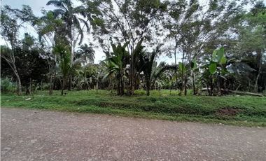 VENDO TERRENO EN CAPIRA