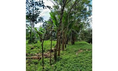 VENDO TERRENO EN CAPIRA