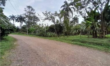 VENDO TERRENO EN CAPIRA