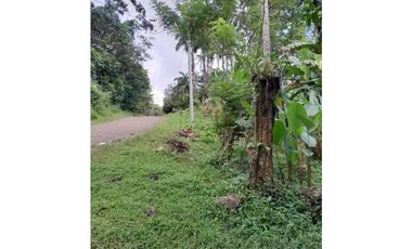VENDO TERRENO EN CAPIRA