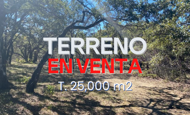 TERRENO RUSTICO  25 HAs en SIERRA LAUREL Calvillo Ags