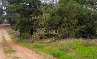 Parcela en Venta en Quebrada Verde