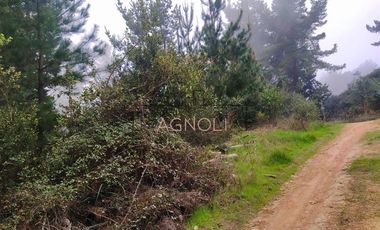 Parcela en Venta en Quebrada Verde