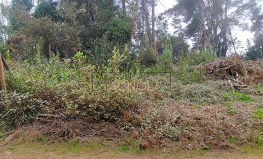 Parcela en Venta en Quebrada Verde