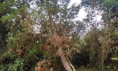 Parcela en Venta en Quebrada Verde