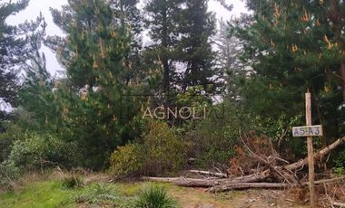 Parcela en Venta en Quebrada Verde