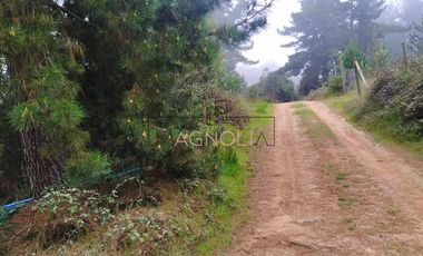 Parcela en Venta en Quebrada Verde