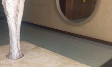 venta departamento 2 ambientes  necochea al  frente excelete edificio a metros del  mar