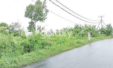 DI JUAL TANAH KAVLING GIANYAR  BALI