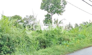 DI JUAL TANAH KAVLING GIANYAR  BALI