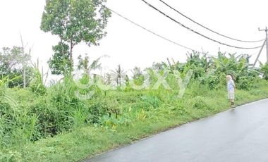 DI JUAL TANAH KAVLING GIANYAR  BALI