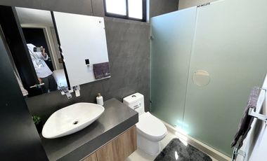 NORTE EN VIÑEDOS RIBIER MODELO RIOJA