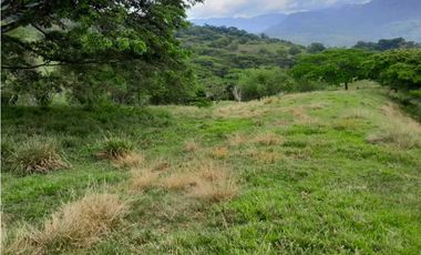VENTA LOTE , FREDONIA,SUROESTE ANTIOQUEÑO