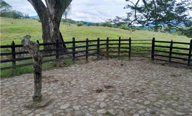 VENTA LOTE , FREDONIA,SUROESTE ANTIOQUEÑO