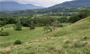 VENTA LOTE , FREDONIA,SUROESTE ANTIOQUEÑO