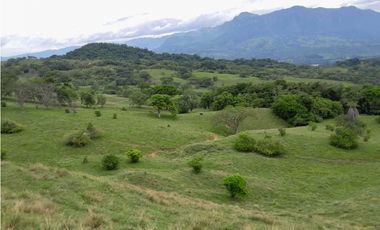 VENTA LOTE , FREDONIA,SUROESTE ANTIOQUEÑO
