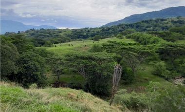 VENTA LOTE , FREDONIA,SUROESTE ANTIOQUEÑO