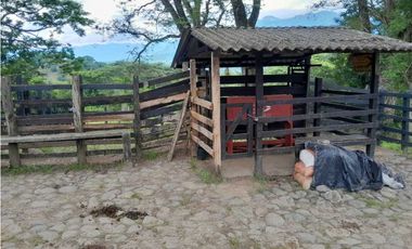 VENTA LOTE , FREDONIA,SUROESTE ANTIOQUEÑO