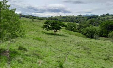 VENTA LOTE , FREDONIA,SUROESTE ANTIOQUEÑO