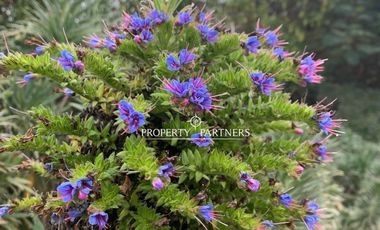 Punta de Tralca - Isla Negra, Excelente Propiedad en Borde Costero