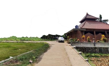 Jual Tanah 90Jt-an : Sentolo