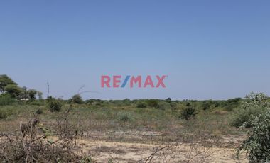 ¿Buscas una inversión que combine alto potencial agrícola, recreativo o residencial con una ubicación privilegiada? ¡Esta es tu oportunidad! 🌱✨

🌟 U