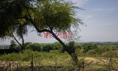 ¿Buscas una inversión que combine alto potencial agrícola, recreativo o residencial con una ubicación privilegiada? ¡Esta es tu oportunidad! 🌱✨

🌟 U
