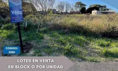 Lotes en venta, en bloque o por unidad, Mar del Tuyu
