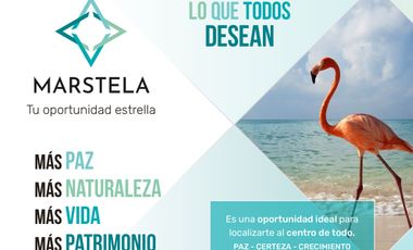 Lotes de Terreno / Kinchil, Celestún - Yucatán