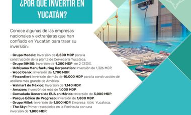 Lotes de Terreno / Kinchil, Celestún - Yucatán