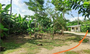 Se vende Lote en Cereté Córdoba