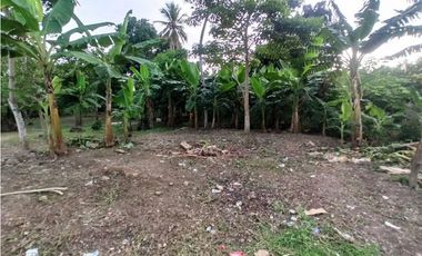 Se vende Lote en Cereté Córdoba