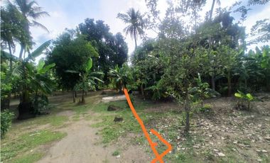 Se vende Lote en Cereté Córdoba