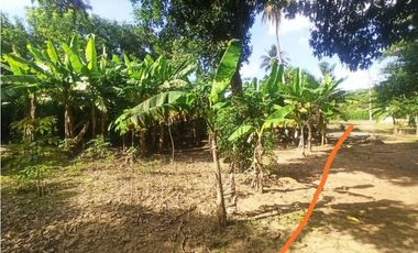 Se vende Lote en Cereté Córdoba