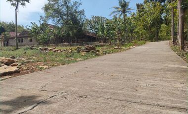 JL. KW SENTOLO KAPLING 1 JUTAAN PROFIT 30%