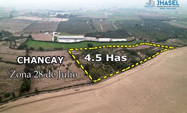 Terreno Agricola en venta de 40,000 m2 en Chancay