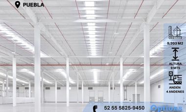 Puebla area to rent industrial warehouse