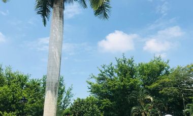 casa en venta en ciudad jardín. Cod V17442