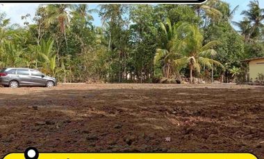 TANAH KAVLING PURWOREJO, 500 RB PERMETER, VIEW PERSAWAHAN