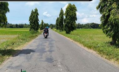 TANAH KAVLING PURWOREJO, 500 RB PERMETER, VIEW PERSAWAHAN